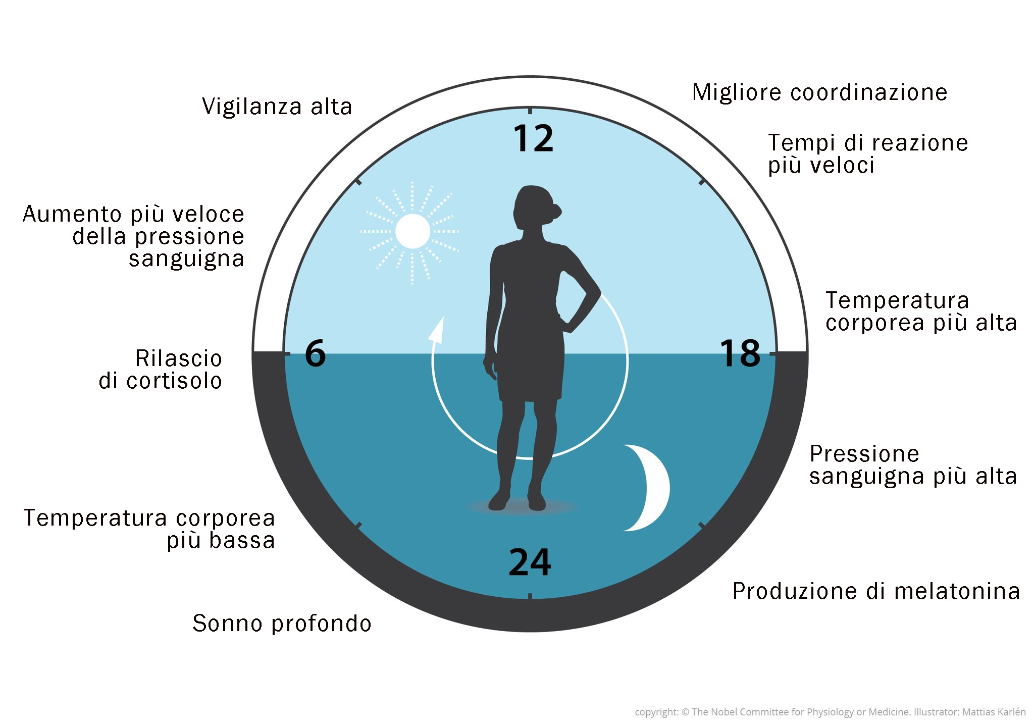 orologio-corpo